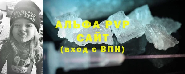 прущие грибы Баксан