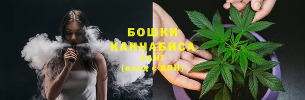 прущие грибы Баксан