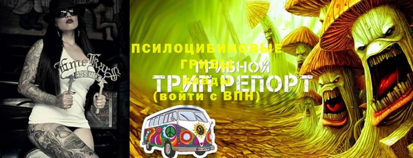 прущие грибы Баксан