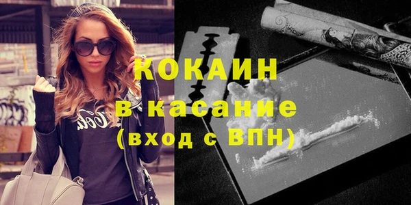 прущие грибы Баксан