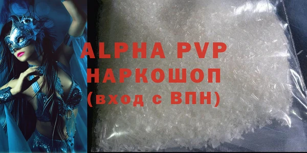 прущие грибы Баксан