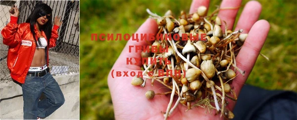 каннабис Балахна