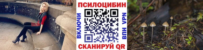 Галлюциногенные грибы мицелий сайты даркнета состав Бугульма