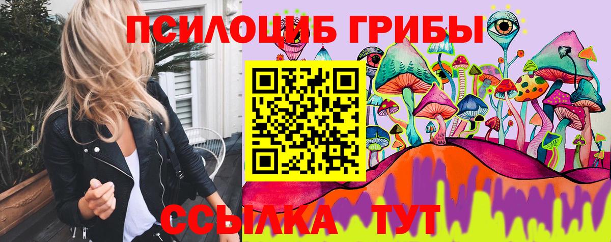 Псилоцибиновые грибы Cubensis  Бугульма 