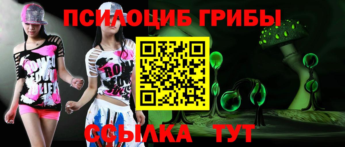 Бугульма  Галлюциногенные грибы Cubensis  Вход с VPN 