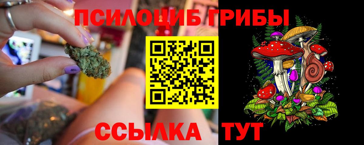 Псилоцибиновые грибы GOLDEN TEACHER Бугульма