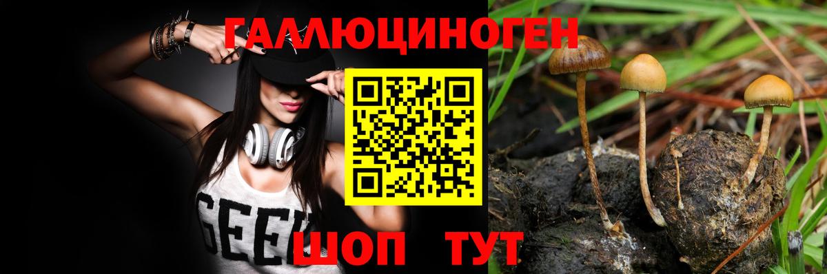 Псилоцибиновые грибы Psilocybe Бугульма